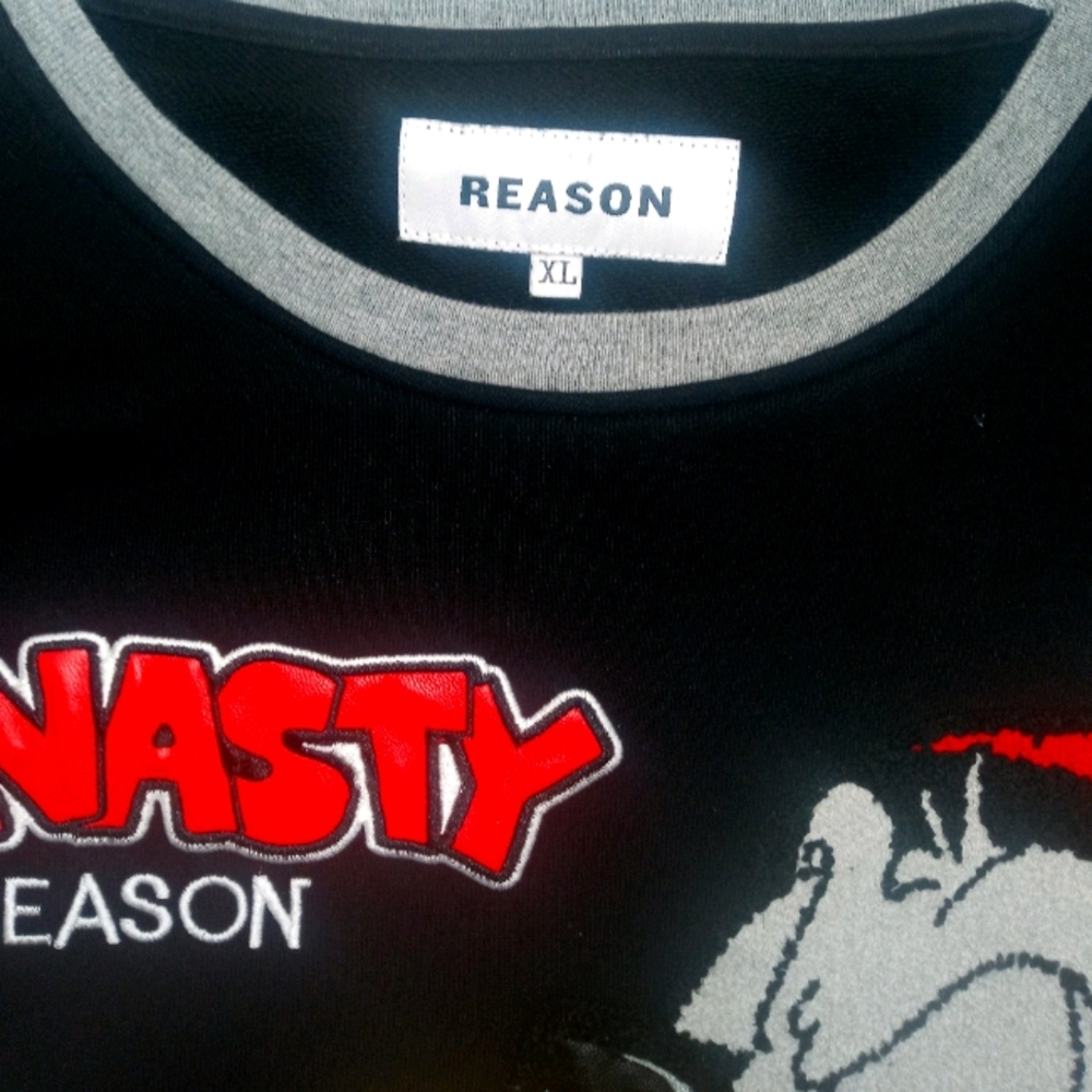 Reason - Picture 3 of 3